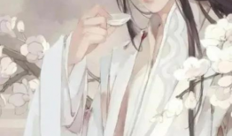 古风视频,穿越时空的视觉盛宴